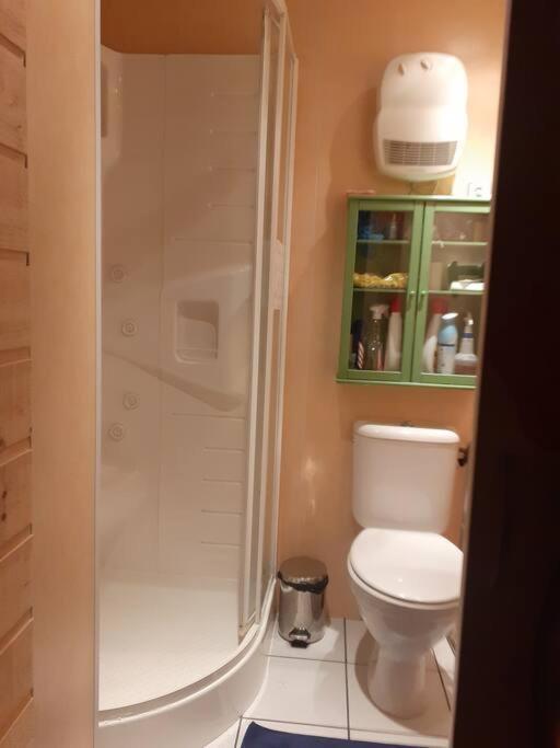 Appartement Face Au Thermes Et Au Calme Bagnères-de-Luchon Exteriör bild