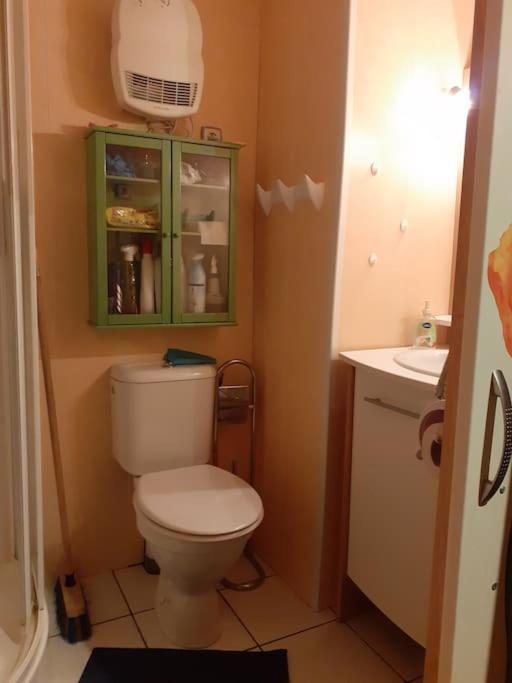 Appartement Face Au Thermes Et Au Calme Bagnères-de-Luchon Exteriör bild